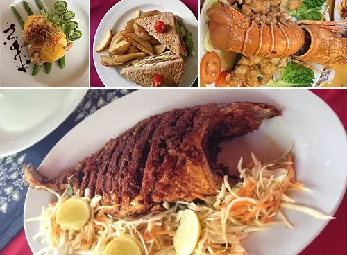 Tours gastronómicos