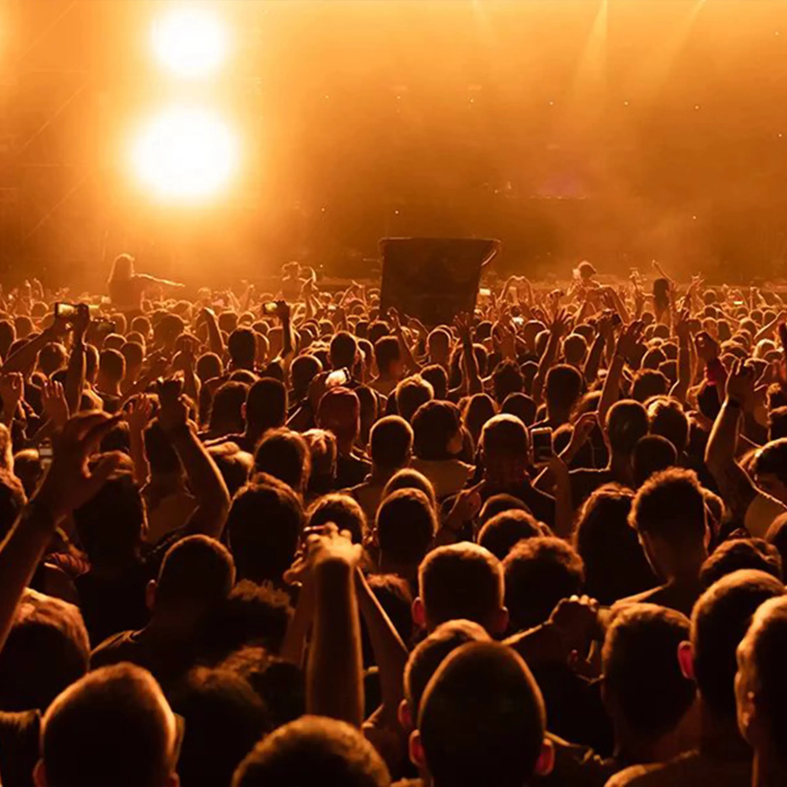 Event Management_Curating Experiences