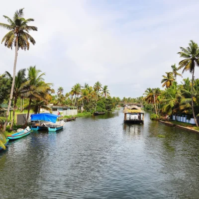 boathouses-sailing-in-the-backwaters-in-allepey-k-2023-11-27-04-51-13-utc