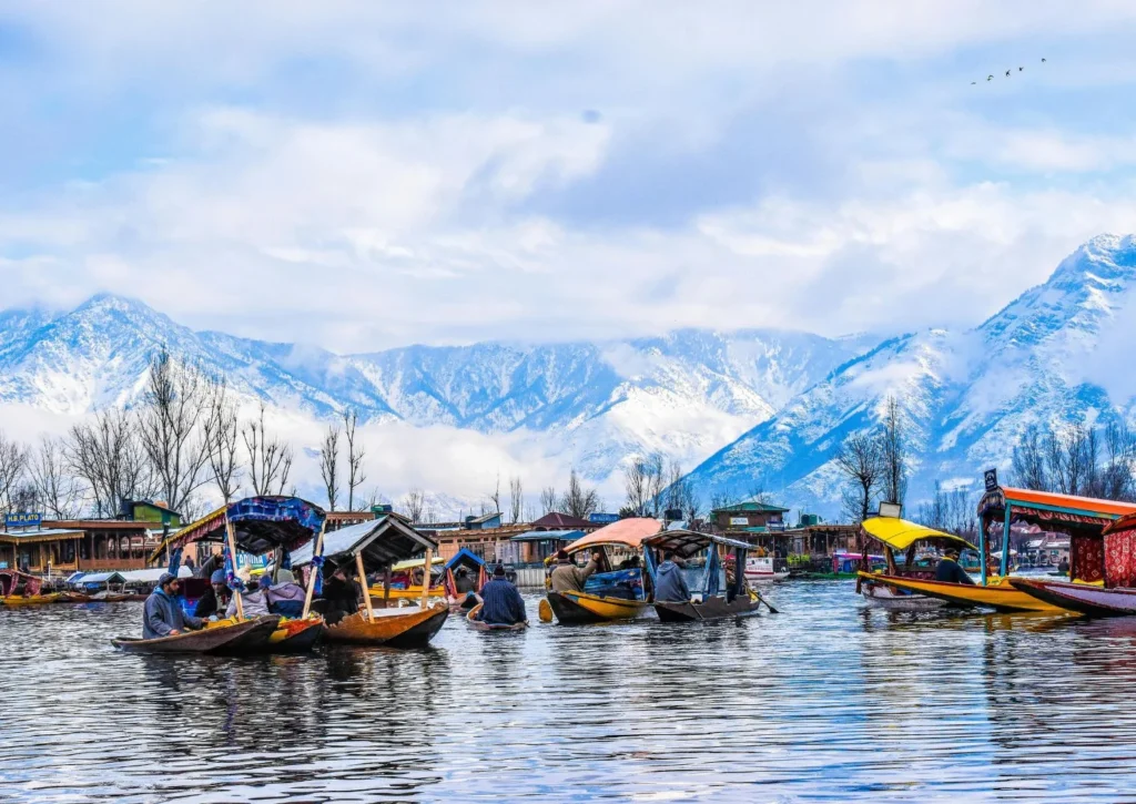 Lago Dal Kashmir Trip & Tour por Curating Experiences